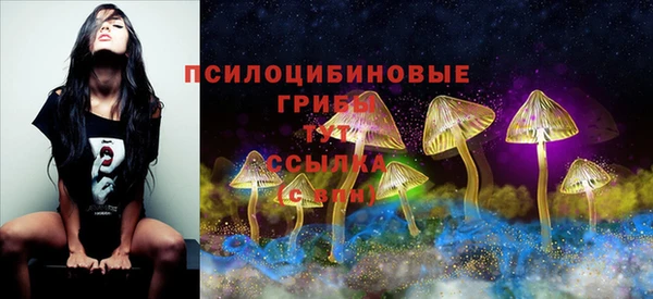 прущая мука Иннополис