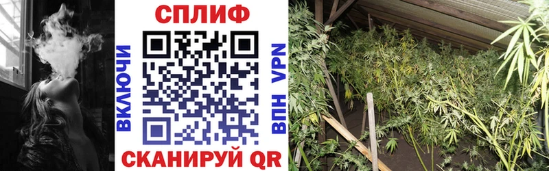 Купить закладки  Мезень  МАРИХУАНА планчик 